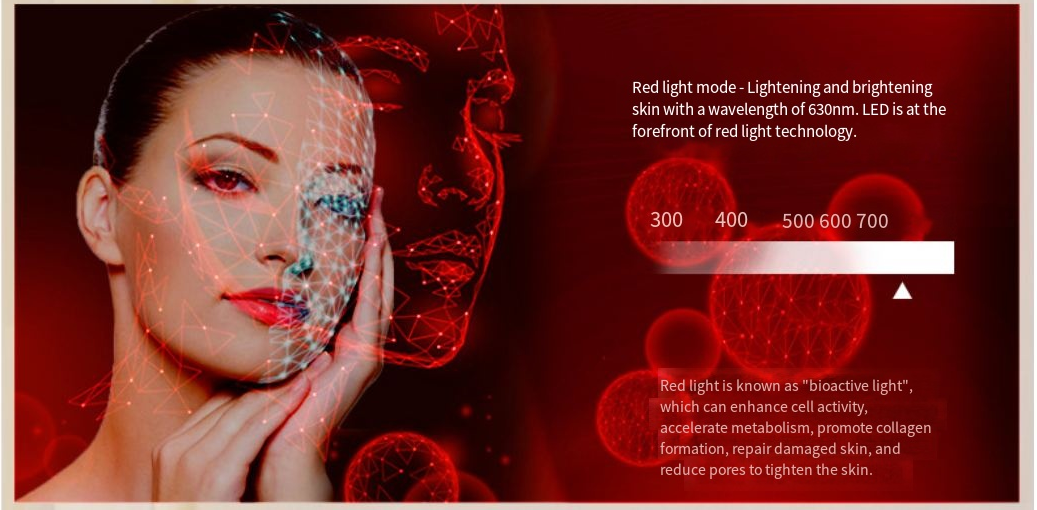 LED Beauty Mask Seven Colors